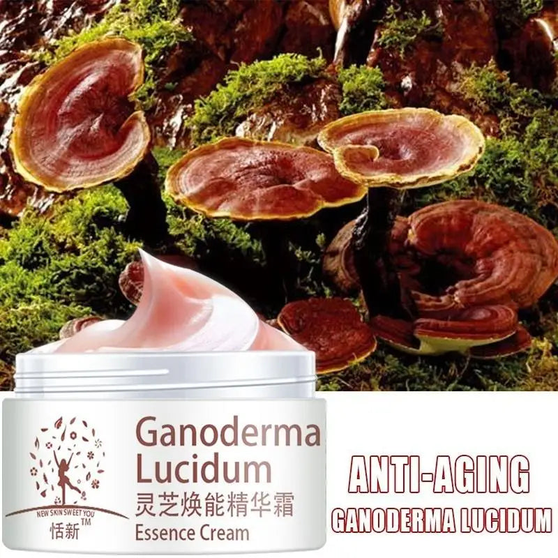 Ganoderma Face Cream Freckle Remove Repair Facial Moisturizing Brightening Cream Lucidum Anti-aging Cream